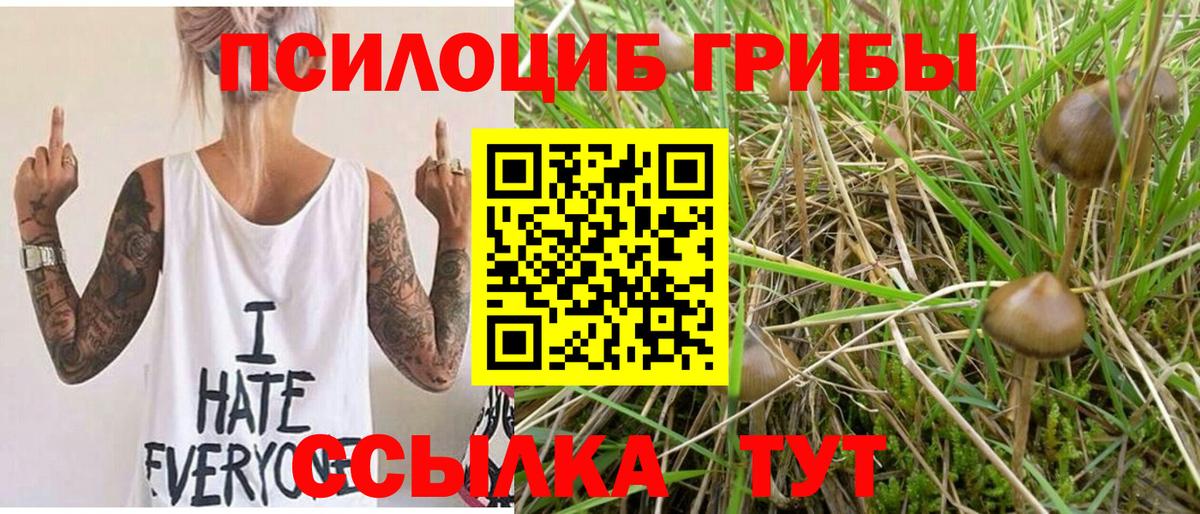 Галлюциногенные грибы Cubensis Дубна