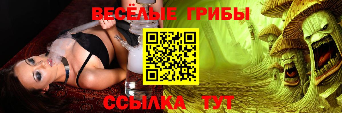 Дубна  Псилоцибиновые грибы MAGIC MUSHROOMS  Вход с VPN 
